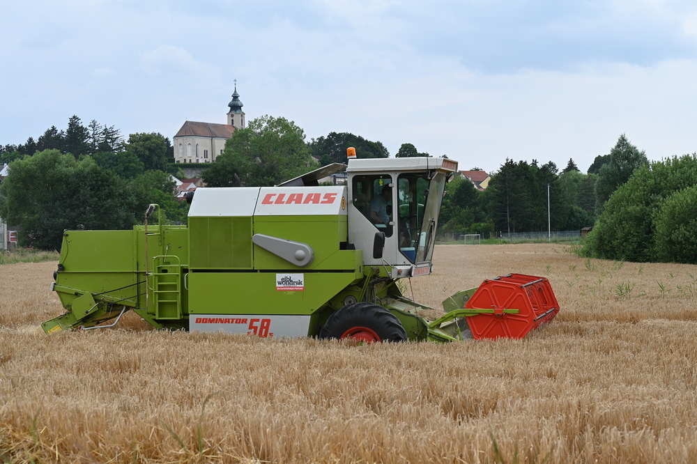 www.markus-goestl.at