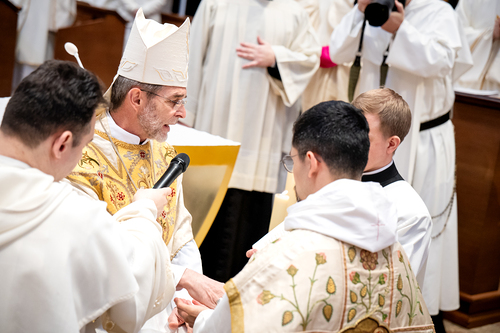 Priesterweihe Ambruster / Erzdiözese Wien/Schönlaub