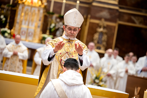 Priesterweihe Ambruster / Erzdiözese Wien/Schönlaub
