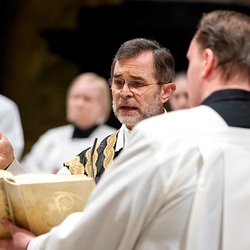 Allerseelen Requiem im Stephansdom